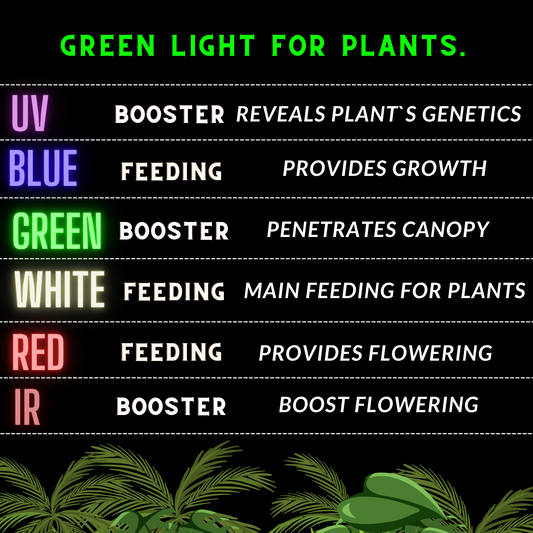 Is Green light better for plant growth then Red and Blue?