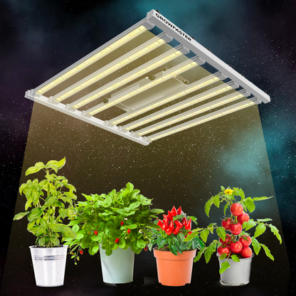 GROWFASTER Z-600 Bar Grow Light 600W